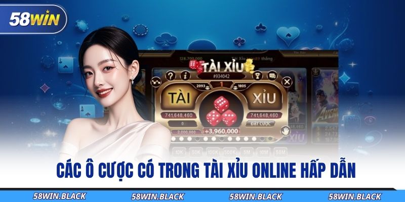 Cập Nhật Cách Chơi Tài Xỉu Online58Win Đầy Đủ Và Chi Tiết Nhất 2 cac-o-cuoc-co-trong-tai-xiu-online-hap-dan