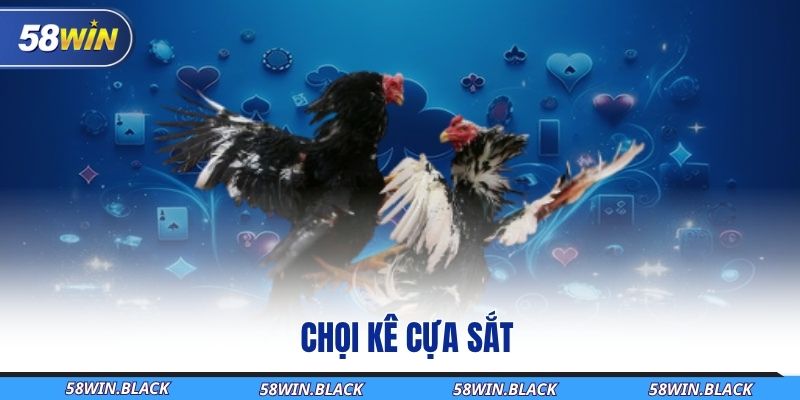 Đá Gà Trực Tuyến Tại 58Win – Giải Trí Cực Đã, Nhận Quà Cực Khủng 2 choi-ke-cua-sat