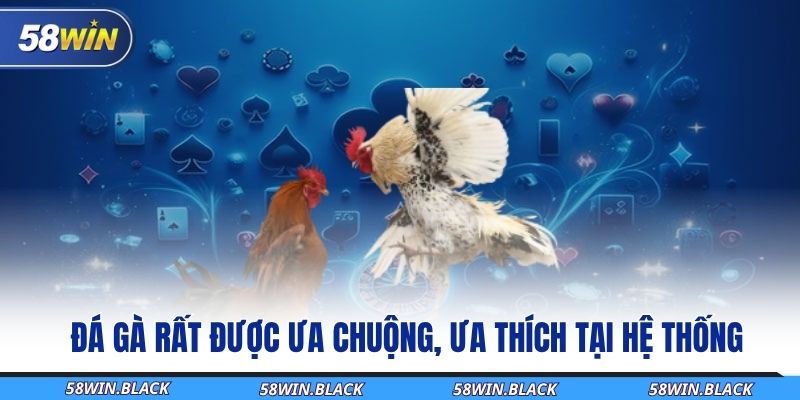 Đá Gà Trực Tuyến Tại 58Win – Giải Trí Cực Đã, Nhận Quà Cực Khủng 1 da-ga-rat-duoc-ua-chuong-ua-thich-tai-he-thong