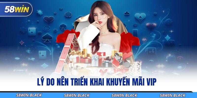 Trở Thành Hội Viên VIP 58WIN Và Nhận Ưu Đãi Độc Quyền Hấp Dẫn 1 ly-dô-nen-trien-khai-khuyen-mai-vip