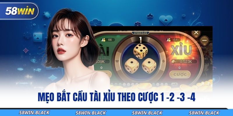 meo-bat-cau-tai-xiu-theo-cuoc-1-2-3-4