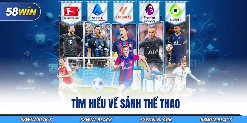 Thể Thao 58Win – Bùng Nổ Hơn 1000 Kèo Cược Mỗi Ngày 1 tim-hieu-ve-sanh-the-thao